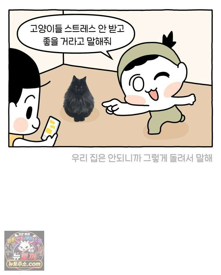 먼지 덩어리 짱덕 63． 고양이 임시보호 22