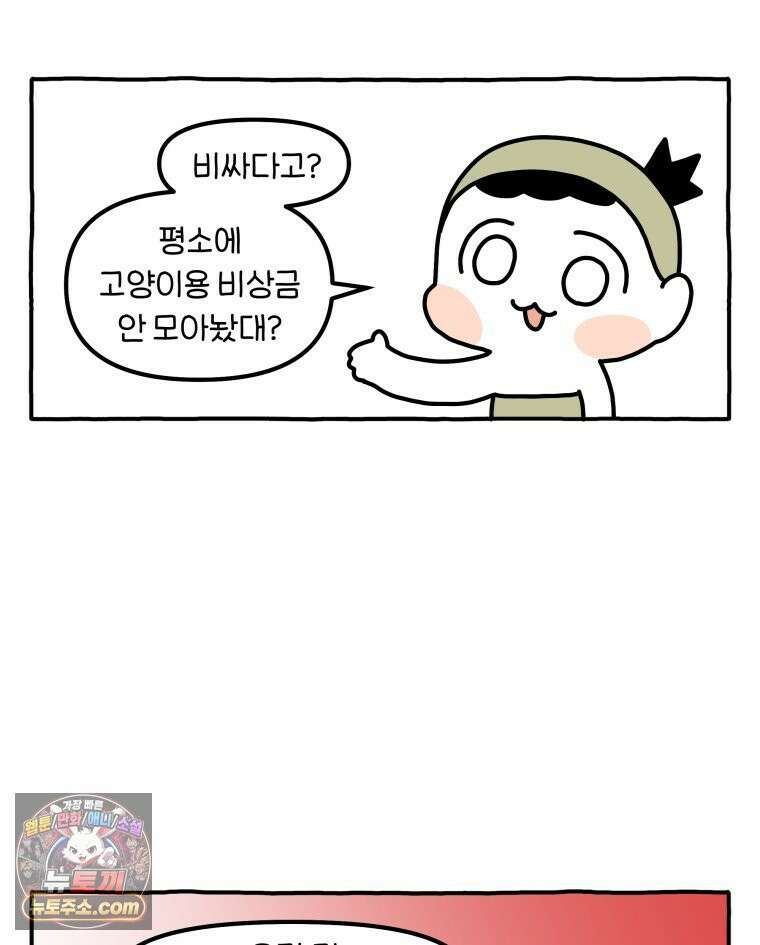 먼지 덩어리 짱덕 63． 고양이 임시보호 24