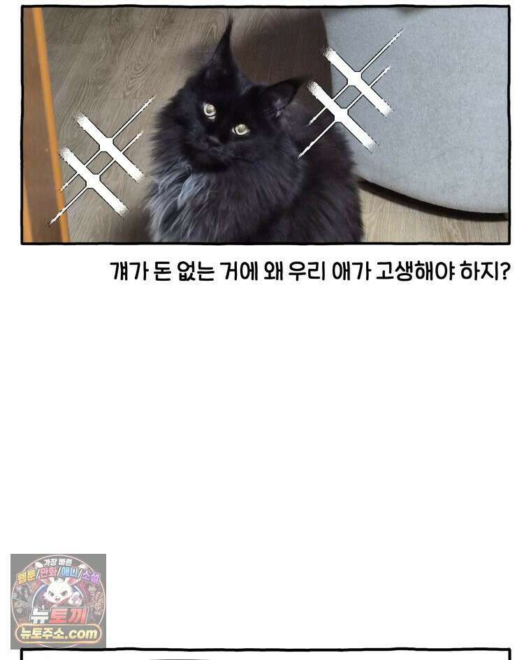 먼지 덩어리 짱덕 63． 고양이 임시보호 27