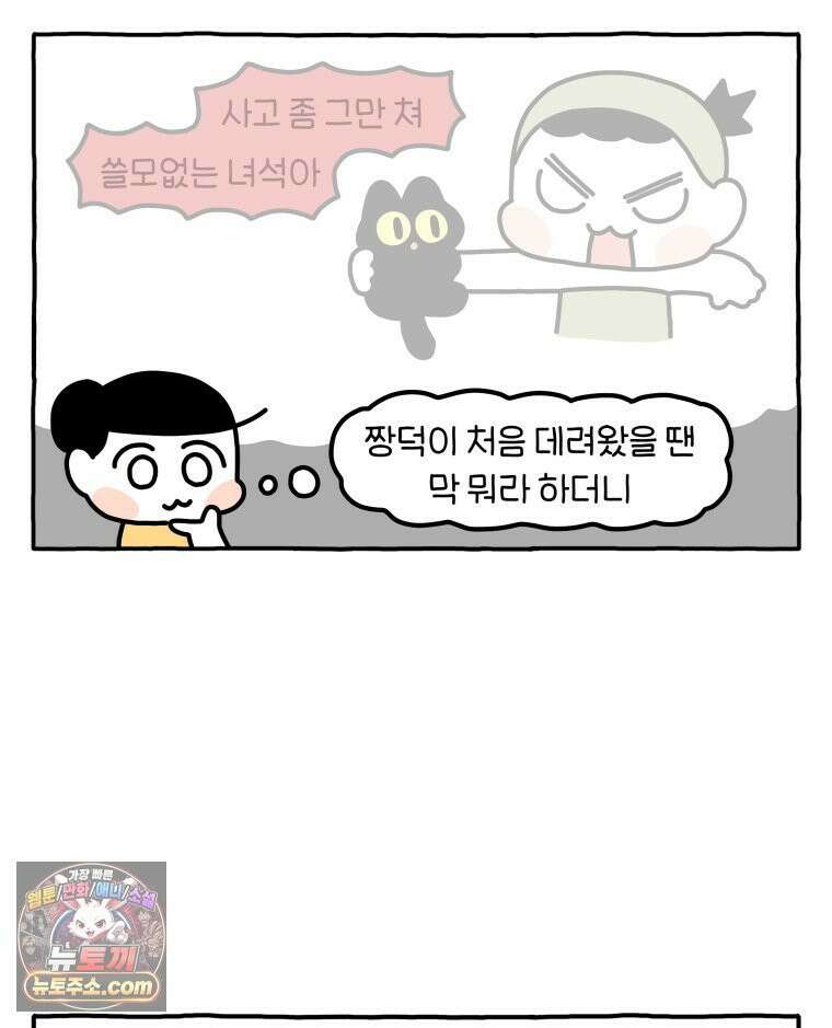 먼지 덩어리 짱덕 63． 고양이 임시보호 29