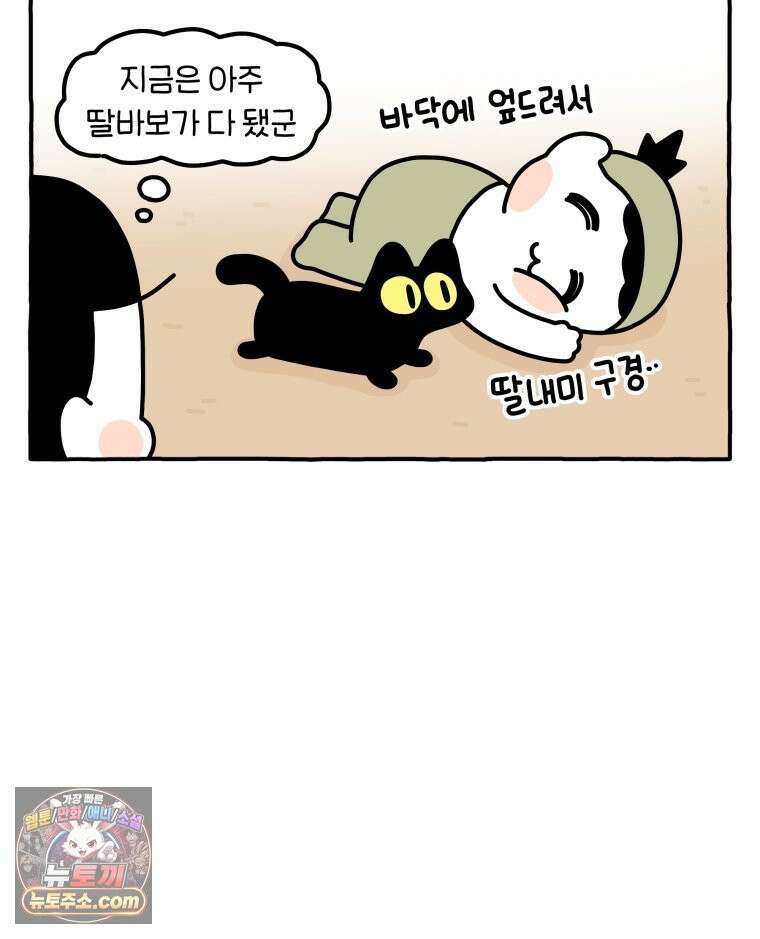 먼지 덩어리 짱덕 63． 고양이 임시보호 30