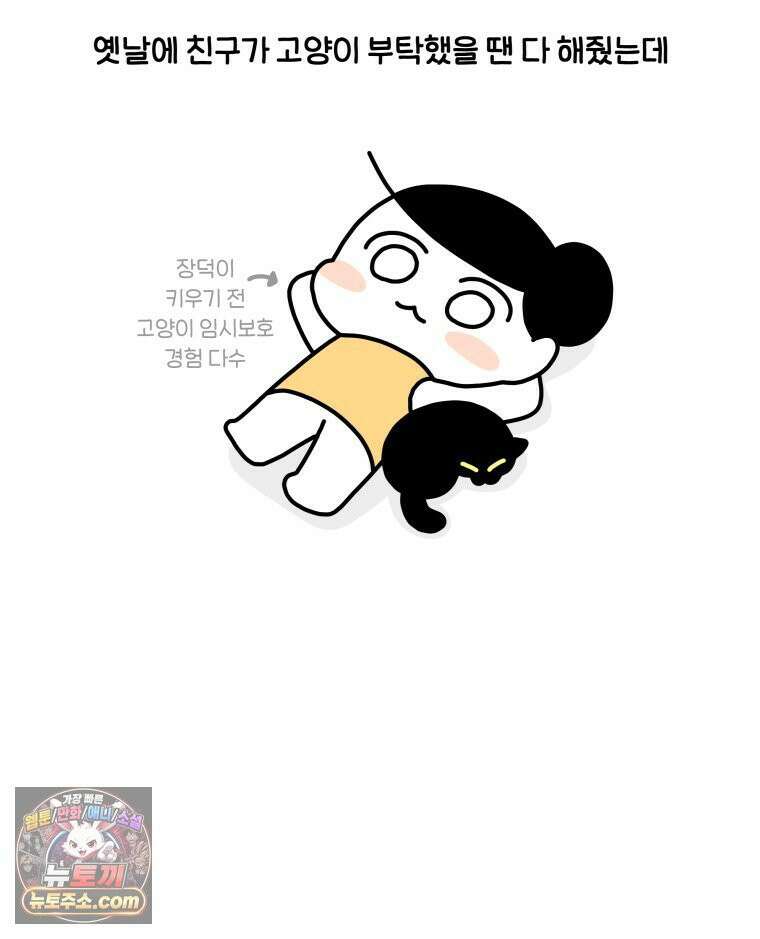 먼지 덩어리 짱덕 63． 고양이 임시보호 32