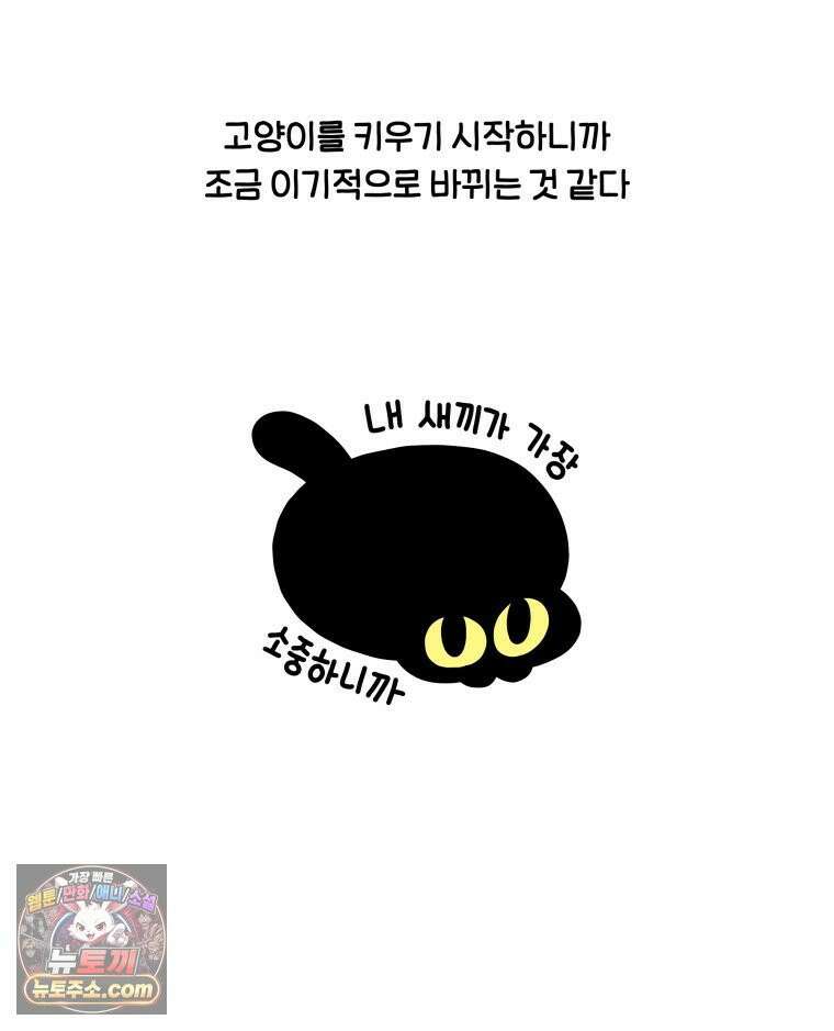 먼지 덩어리 짱덕 63． 고양이 임시보호 33