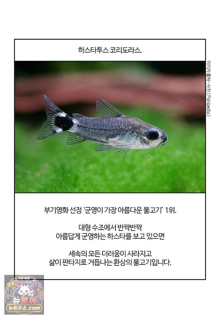 부기영화 314화． 28년 후 6