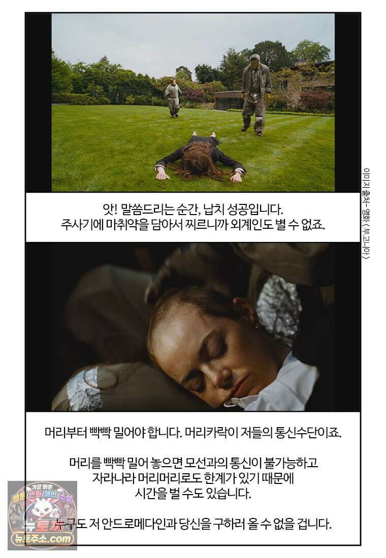 부기영화 339화． 부고니아 14