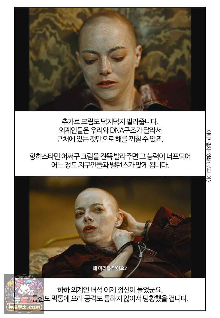 부기영화 339화． 부고니아 15