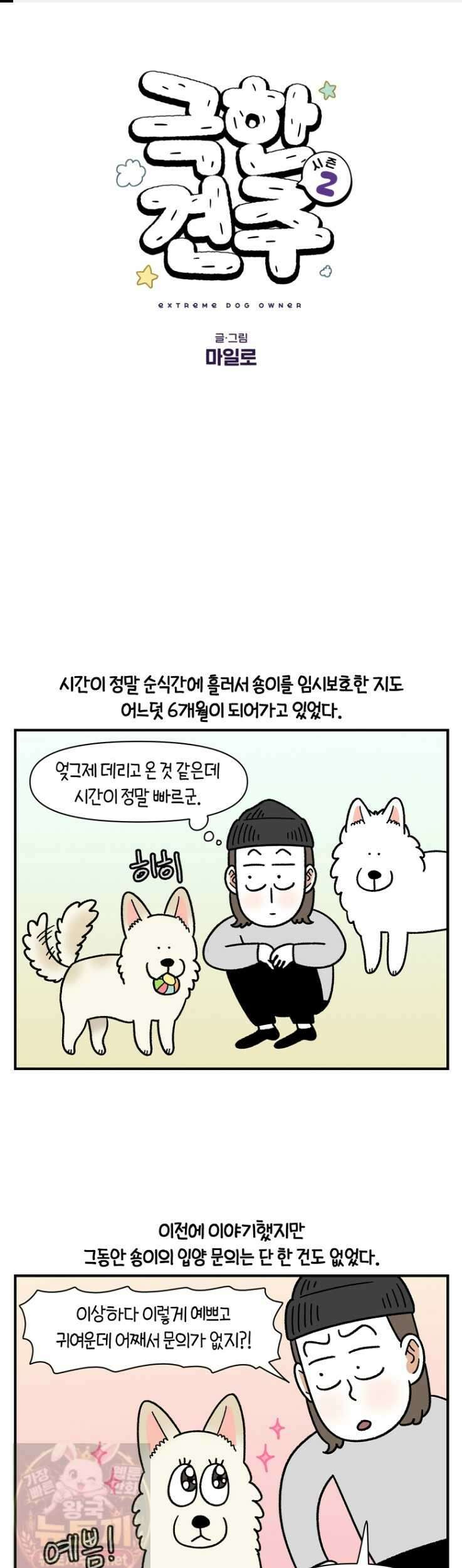 극한견주 시즌2 132화 1