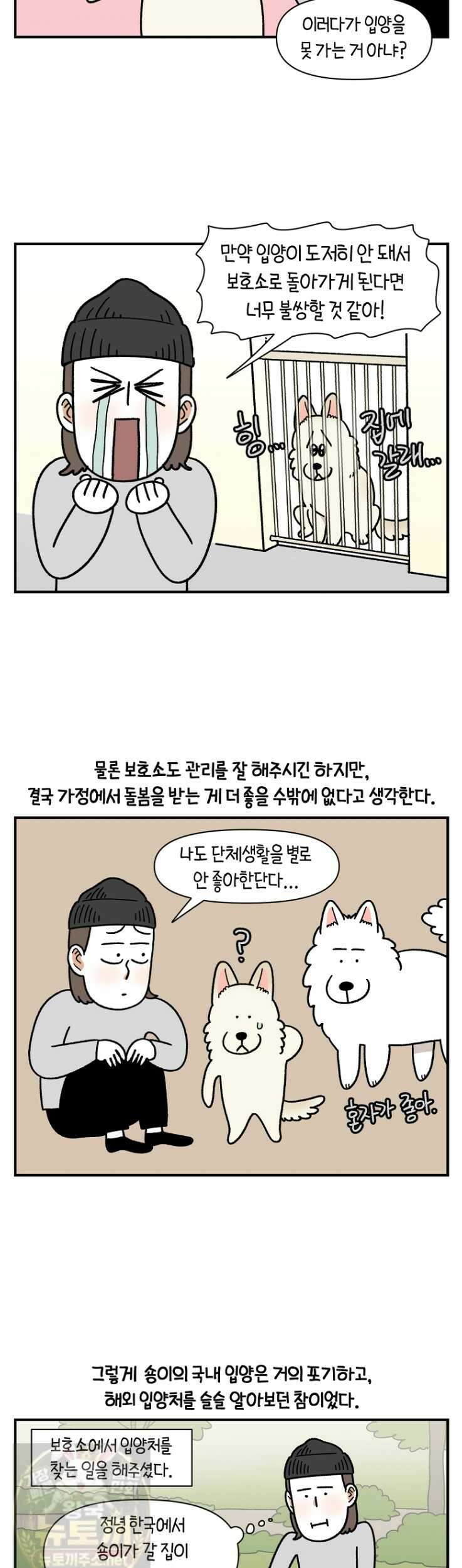 극한견주 시즌2 132화 2