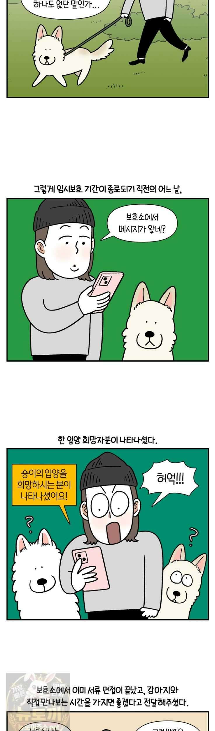 극한견주 시즌2 132화 3