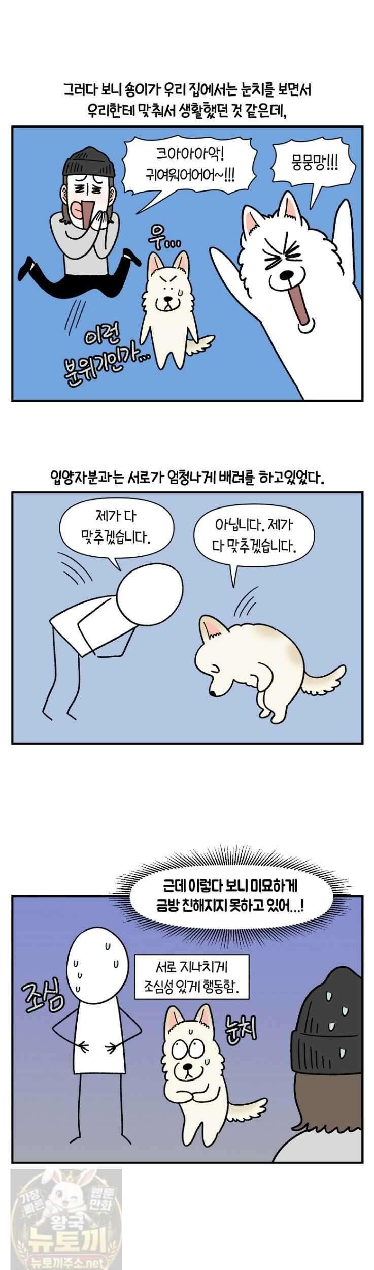 극한견주 시즌2 132화 8