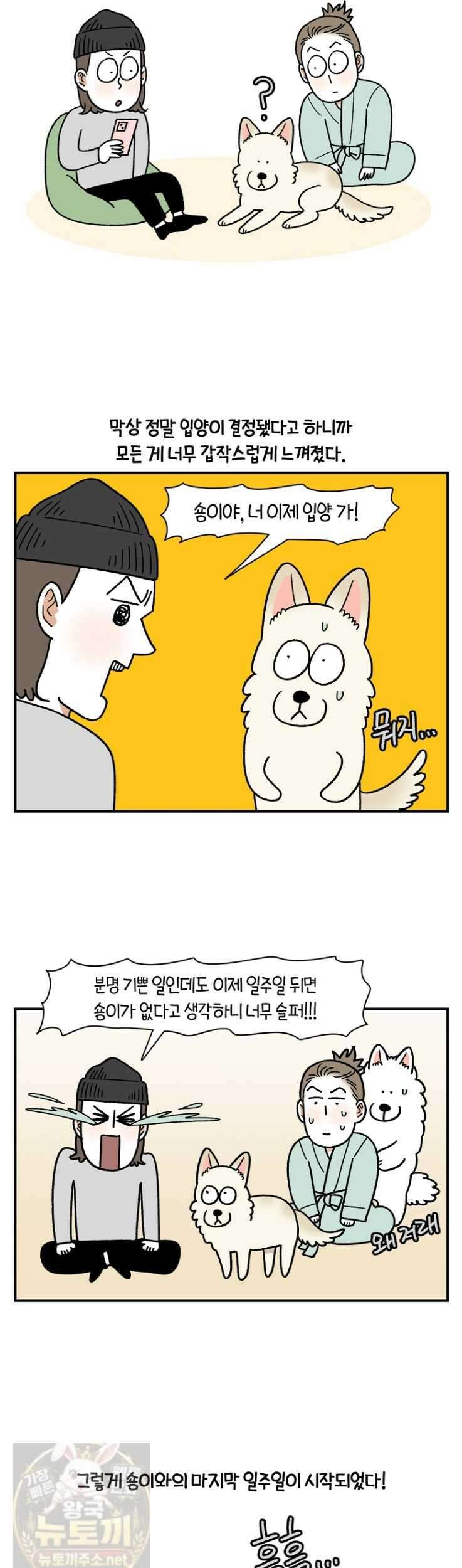 극한견주 시즌2 132화 10