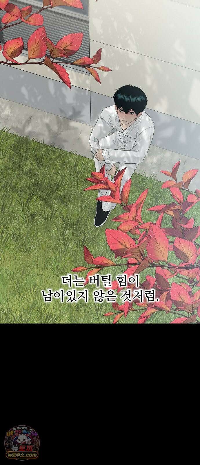 다정한 침입자 43화 좋아했어, 이한아 8