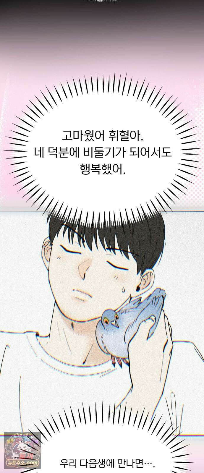 성북구 비둘기 이헌서 82화 6