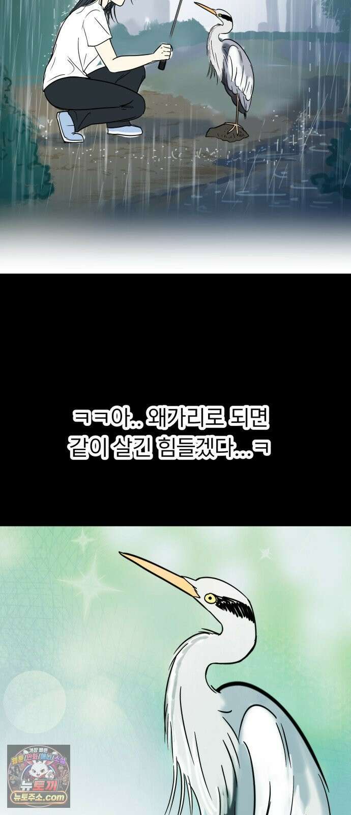 성북구 비둘기 이헌서 82화 8
