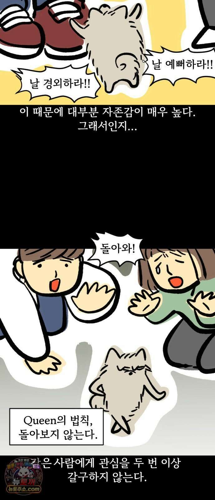 개집사 154화: 알바 일지?견종 특집? 포메편 5