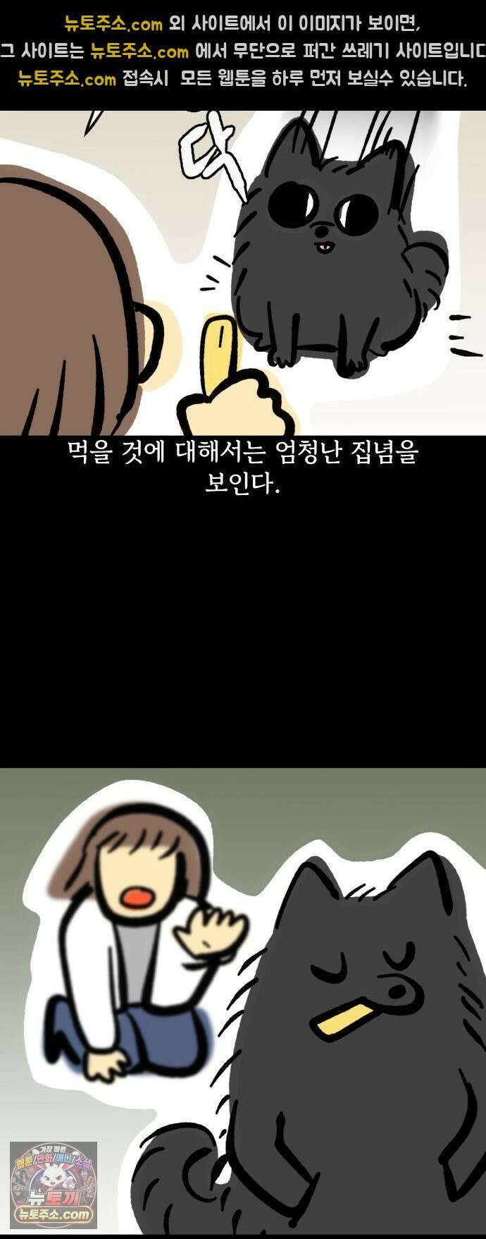 개집사 154화: 알바 일지?견종 특집? 포메편 10
