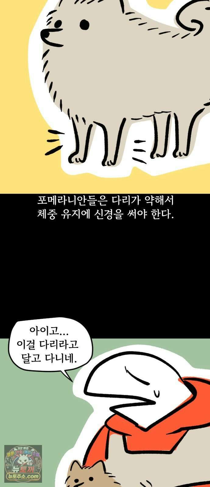 개집사 154화: 알바 일지?견종 특집? 포메편 14