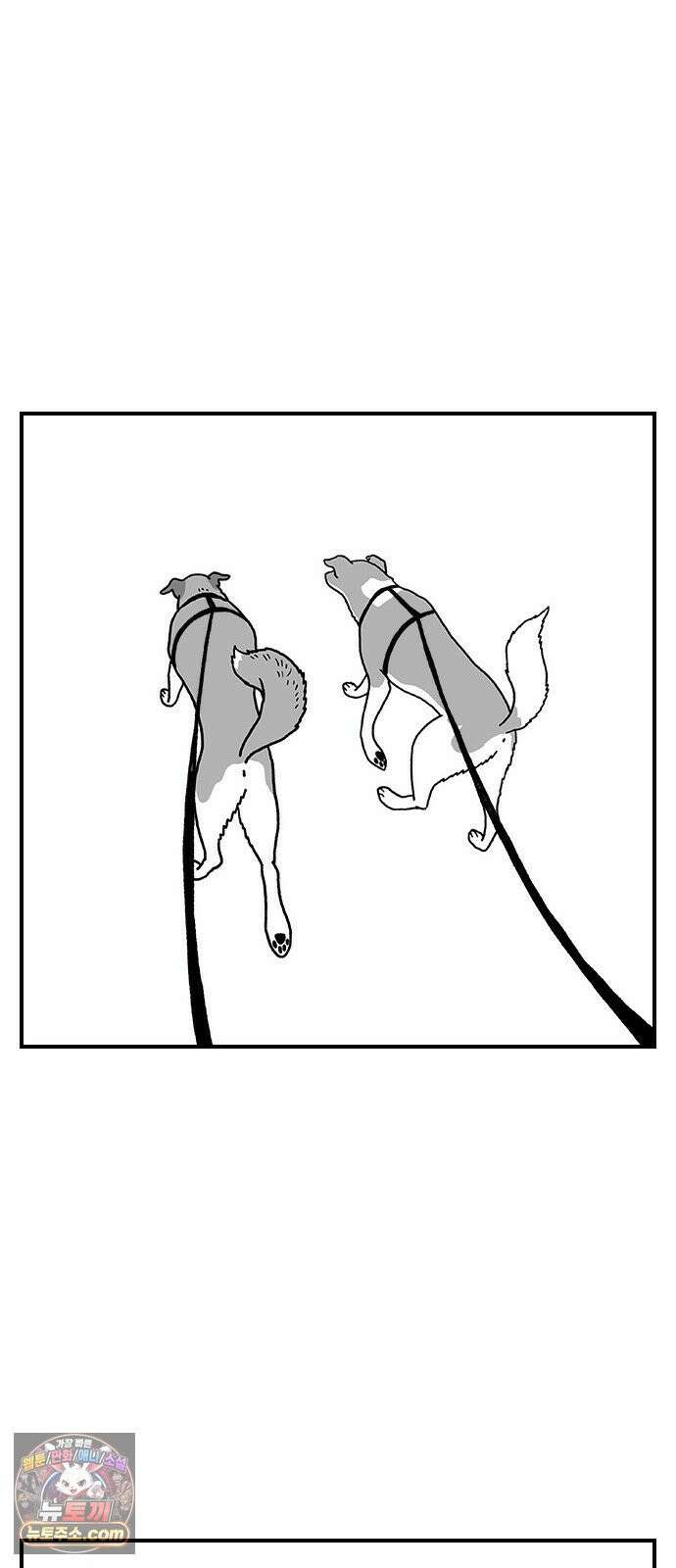 펫로스클럽 ＃35． 비글은 아니고 18