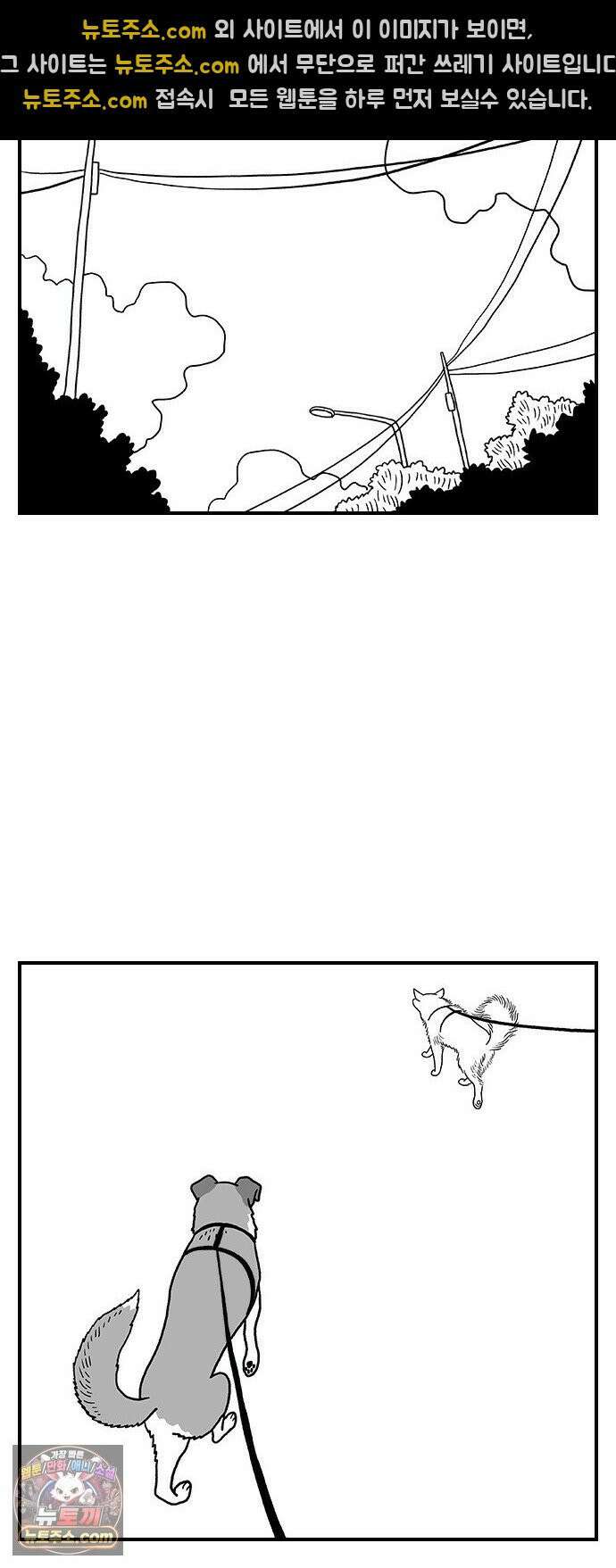 펫로스클럽 ＃35． 비글은 아니고 22