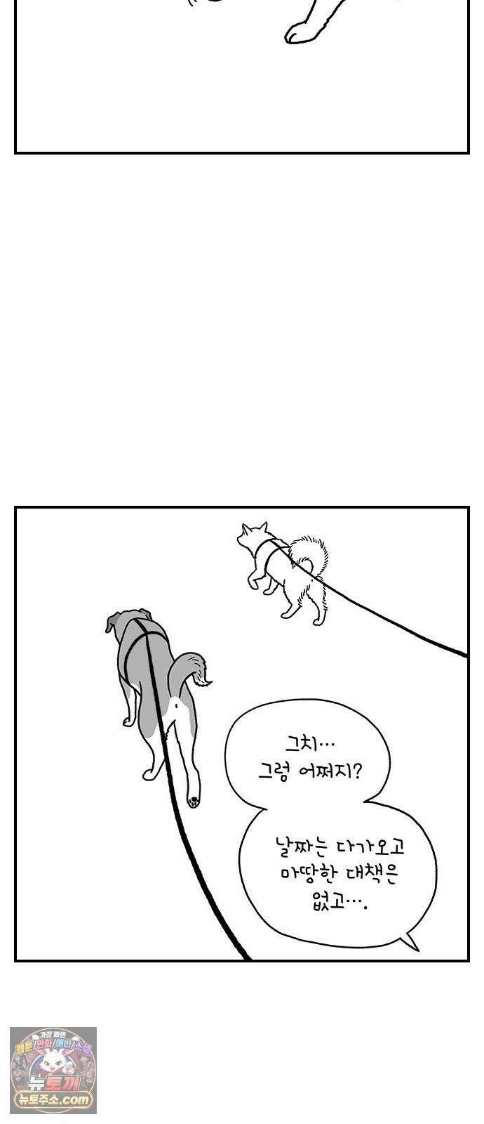 펫로스클럽 ＃35． 비글은 아니고 25