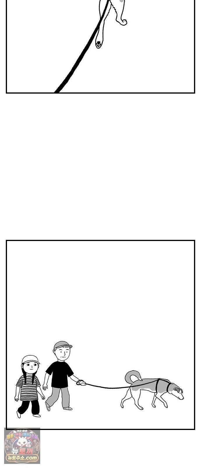 펫로스클럽 ＃35． 비글은 아니고 35