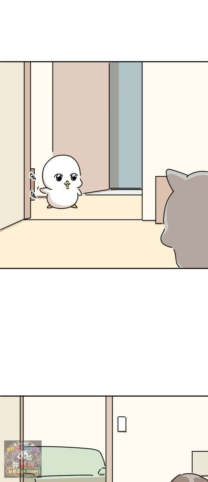 오리짱! 33화 테리의 꿈(3) 4