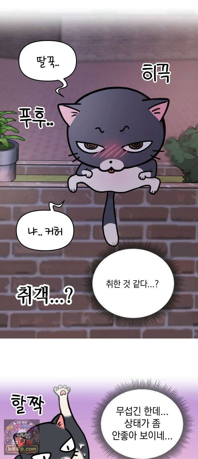 냥냥찍찍! 4화． 기묘한 고양이 4