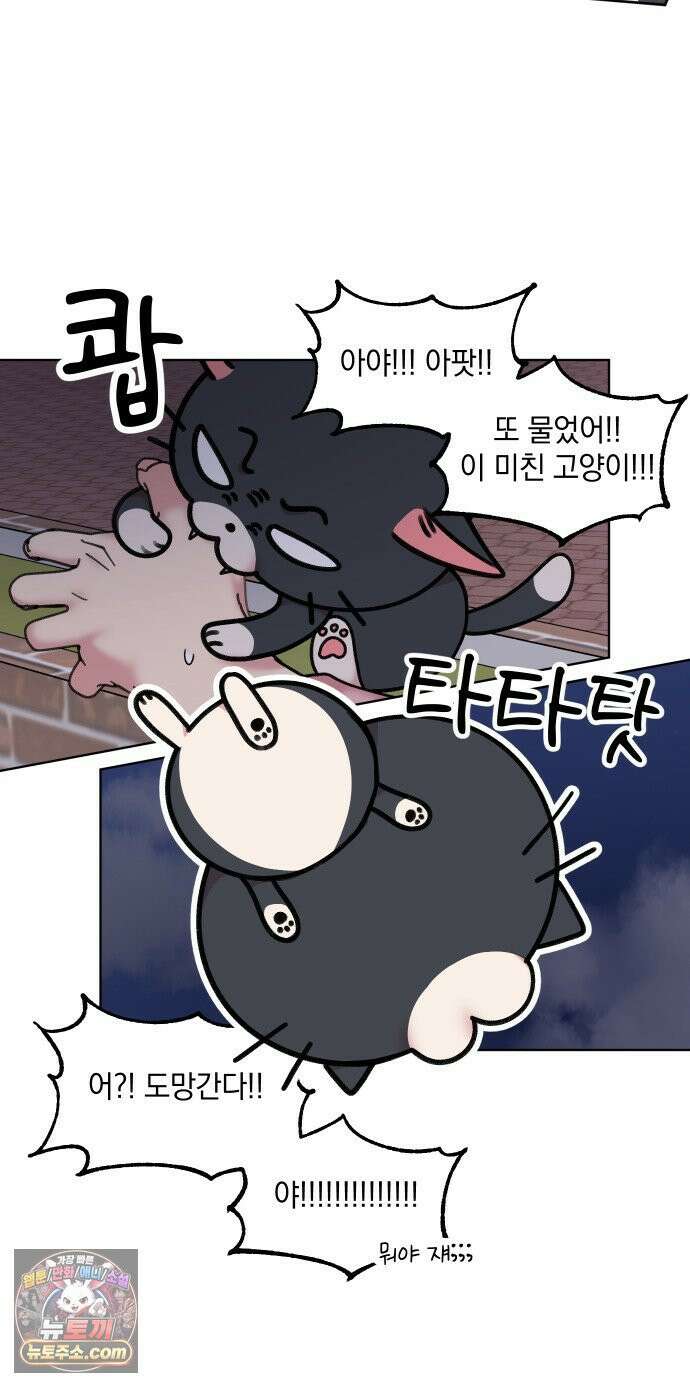 냥냥찍찍! 4화． 기묘한 고양이 17