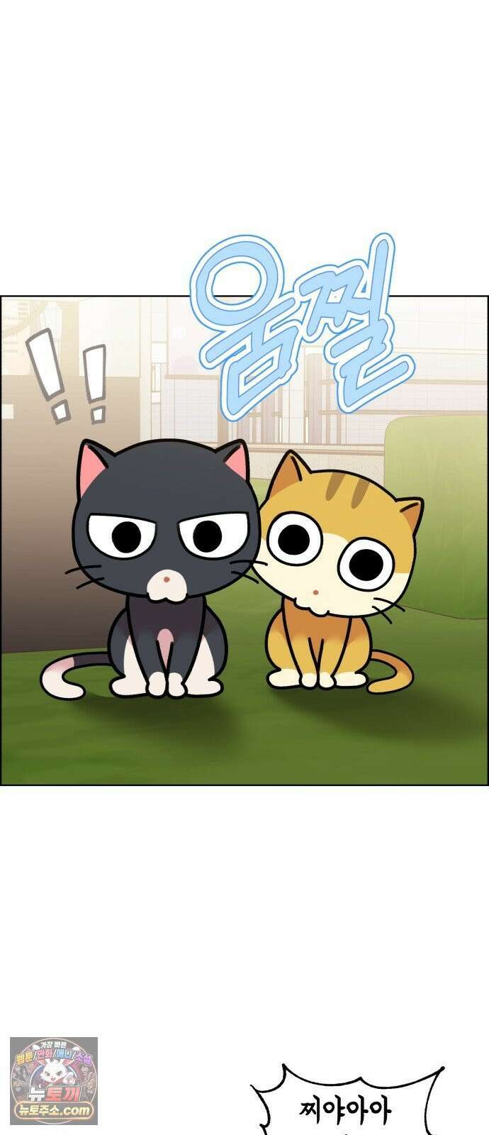 냥냥찍찍! 54화． 고양이여도 괜찮아 6