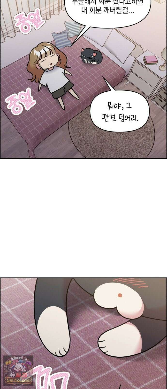 냥냥찍찍! 54화． 고양이여도 괜찮아 19