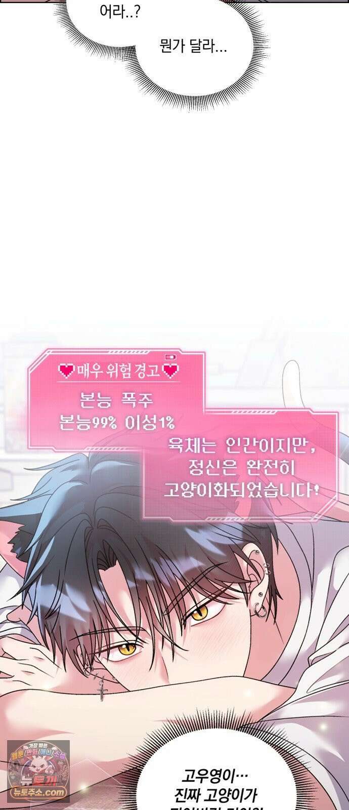 냥냥찍찍! 54화． 고양이여도 괜찮아 31