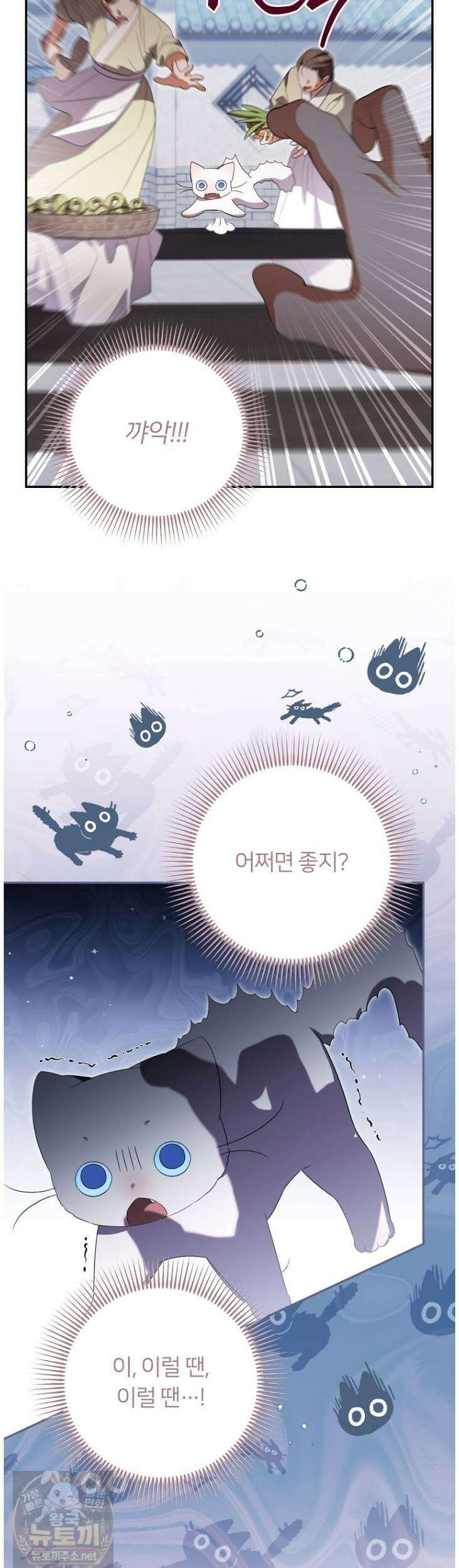 멍문세가를 호령하는 아기 고양이입니다 23화 3