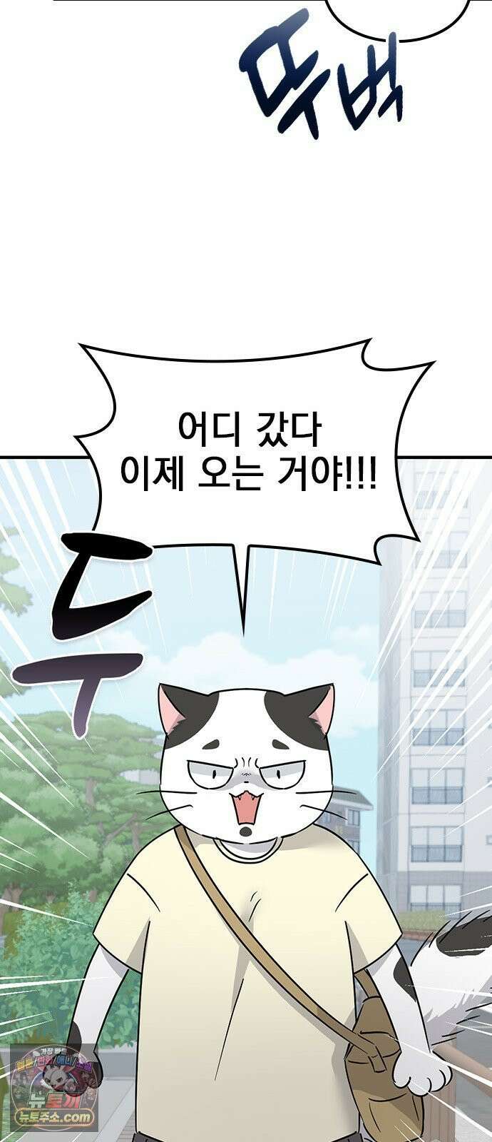 세상 사람들이 모두가 고양이라면 2화 40
