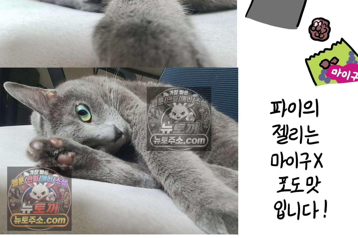 재활용 머학생 150화 내가 귀여운 만화 73