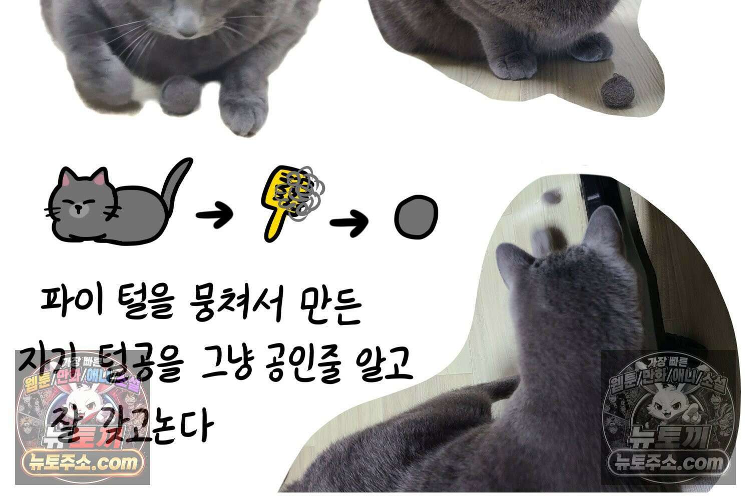재활용 머학생 150화 내가 귀여운 만화 75