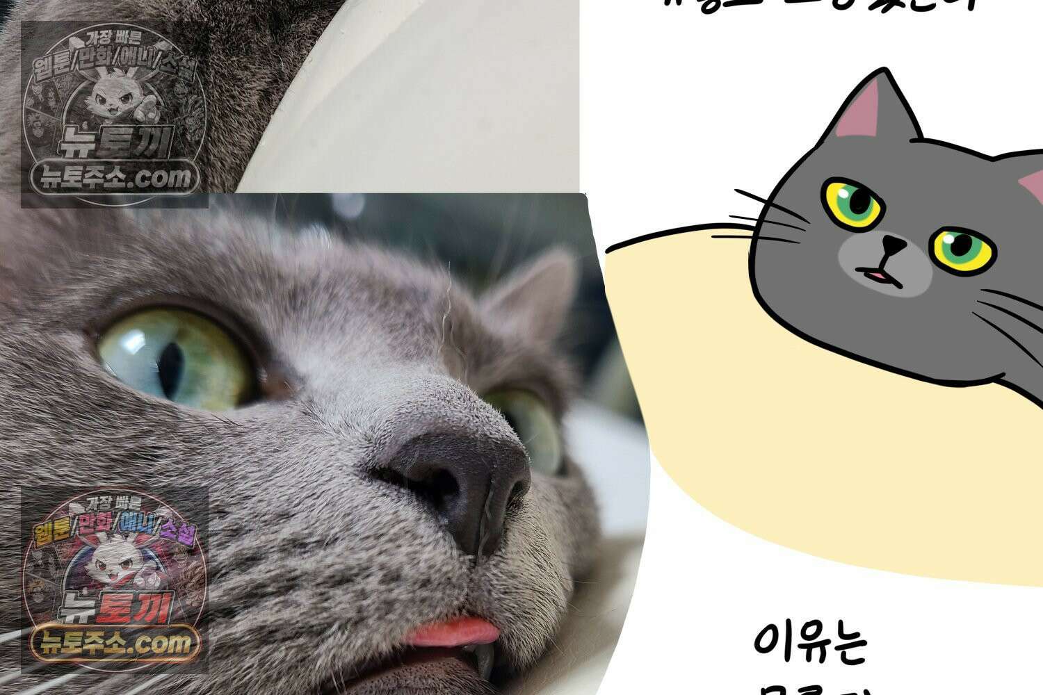 재활용 머학생 150화 내가 귀여운 만화 77