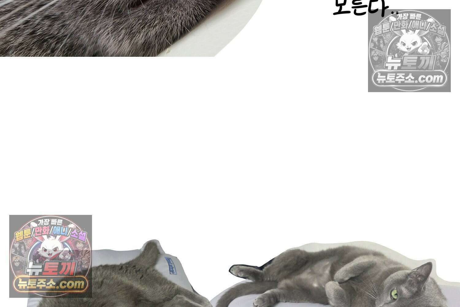 재활용 머학생 150화 내가 귀여운 만화 78
