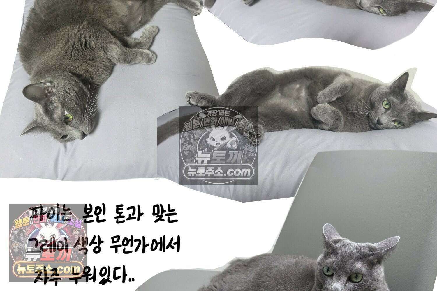 재활용 머학생 150화 내가 귀여운 만화 79