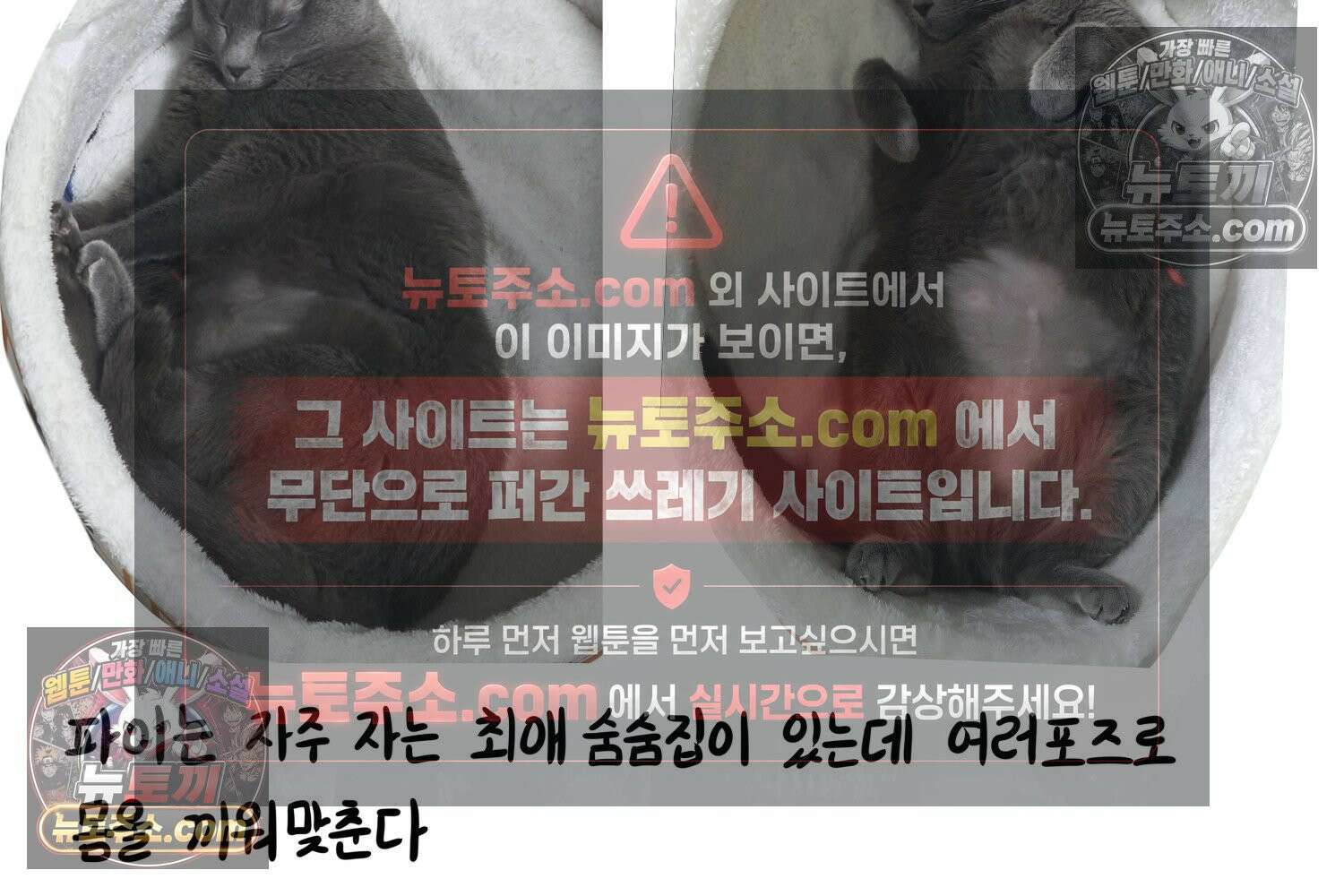 재활용 머학생 150화 내가 귀여운 만화 82