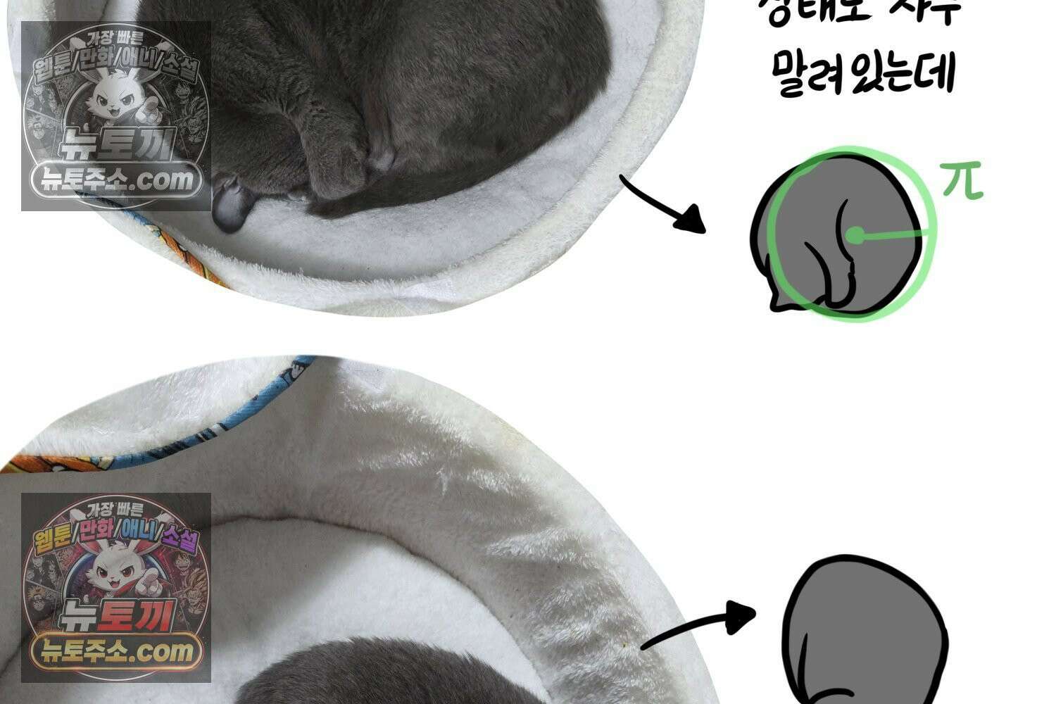 재활용 머학생 150화 내가 귀여운 만화 84