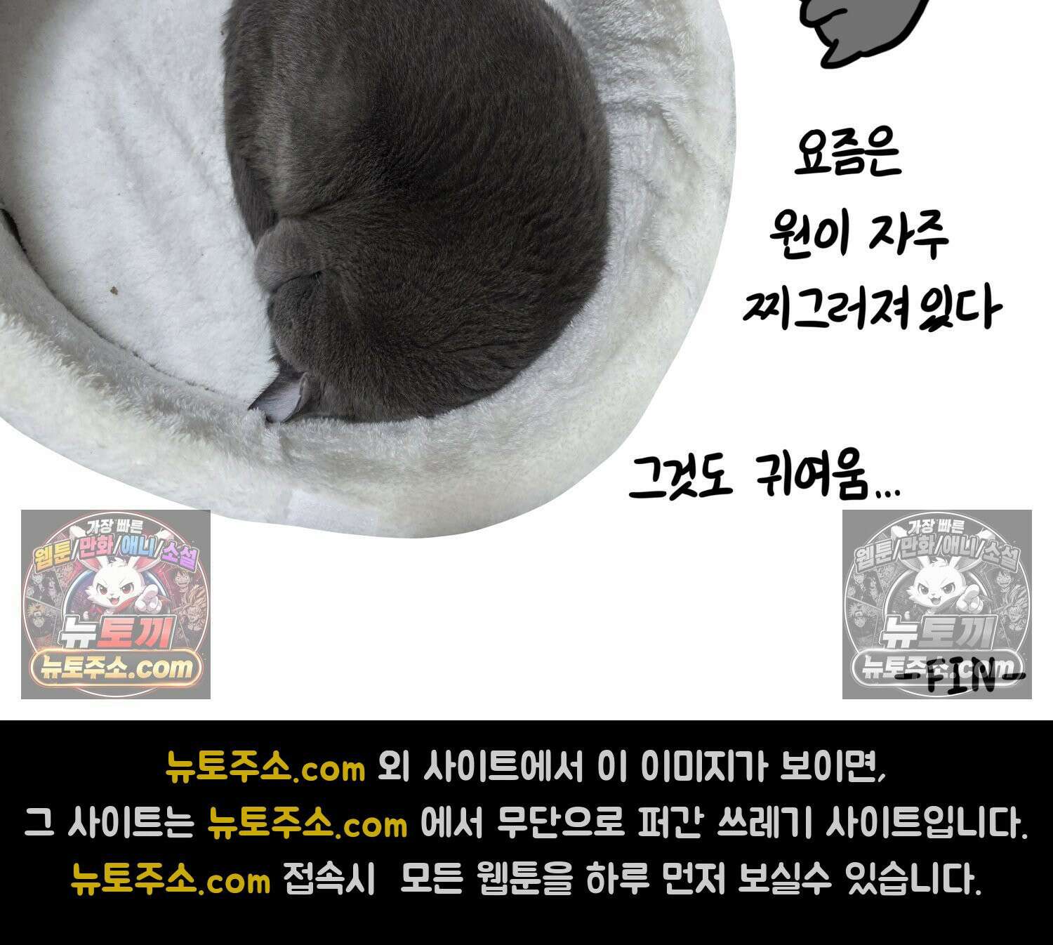 재활용 머학생 150화 내가 귀여운 만화 85
