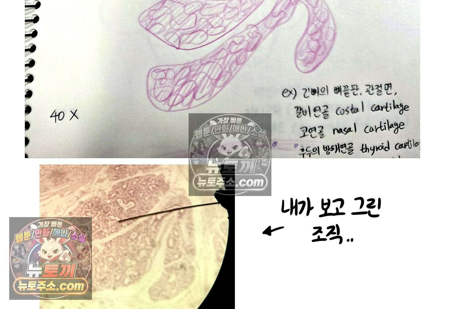재활용 머학생 158화 임산부 머학생(1) 59
