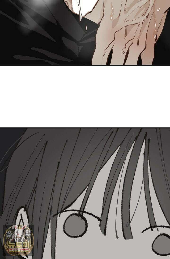 꽃은 미끼야 49화 2