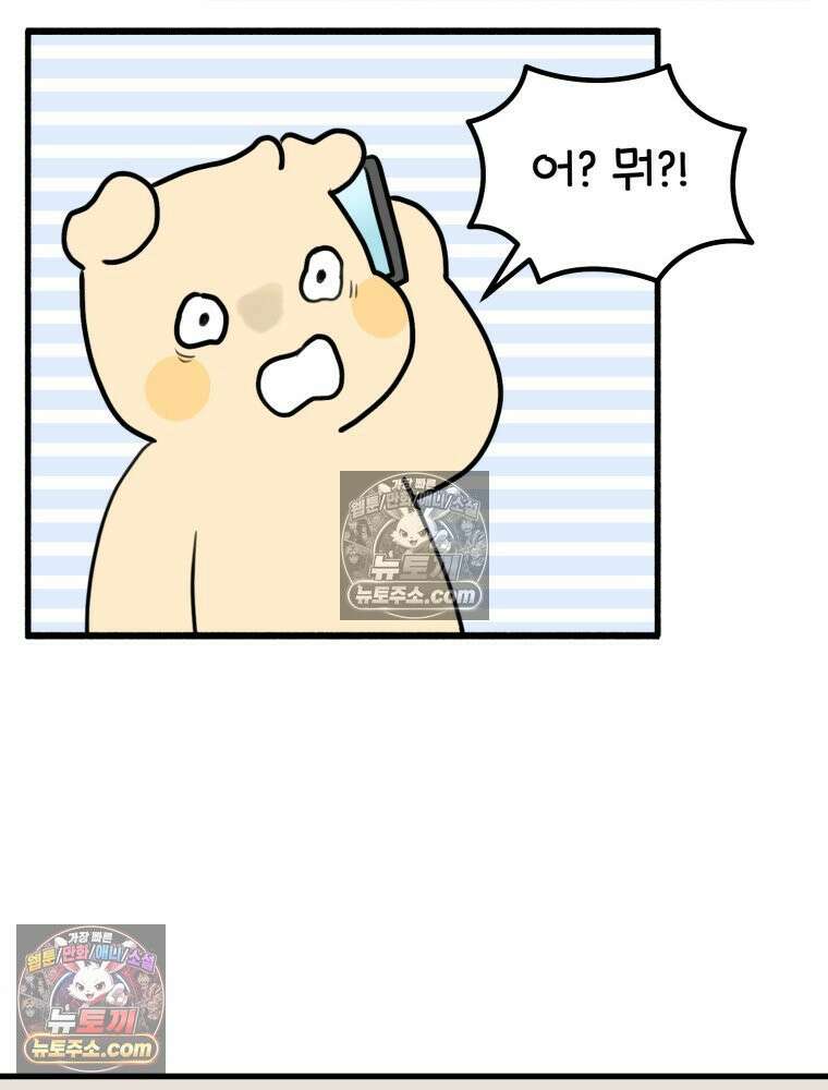 멍냥패밀리 36화 대망의 그날2 5