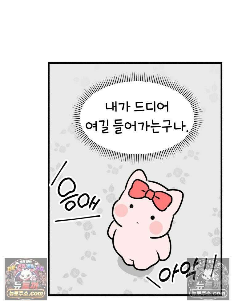 멍냥패밀리 36화 대망의 그날2 11