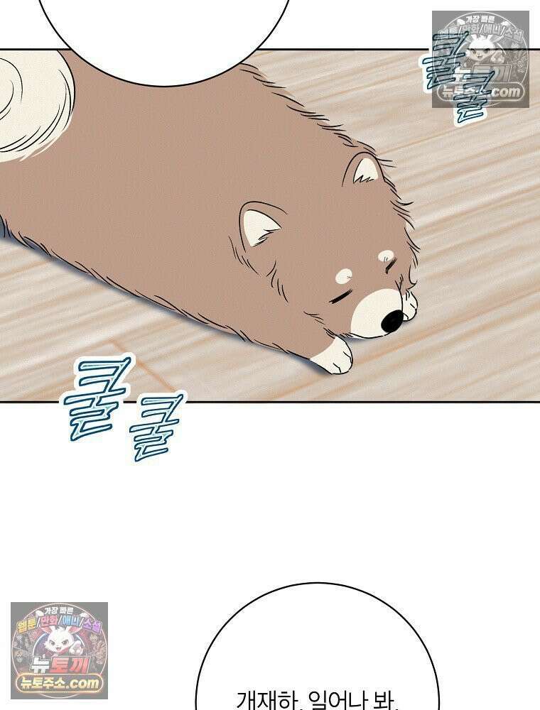 좋아하는 강아지 있어? 03화 5
