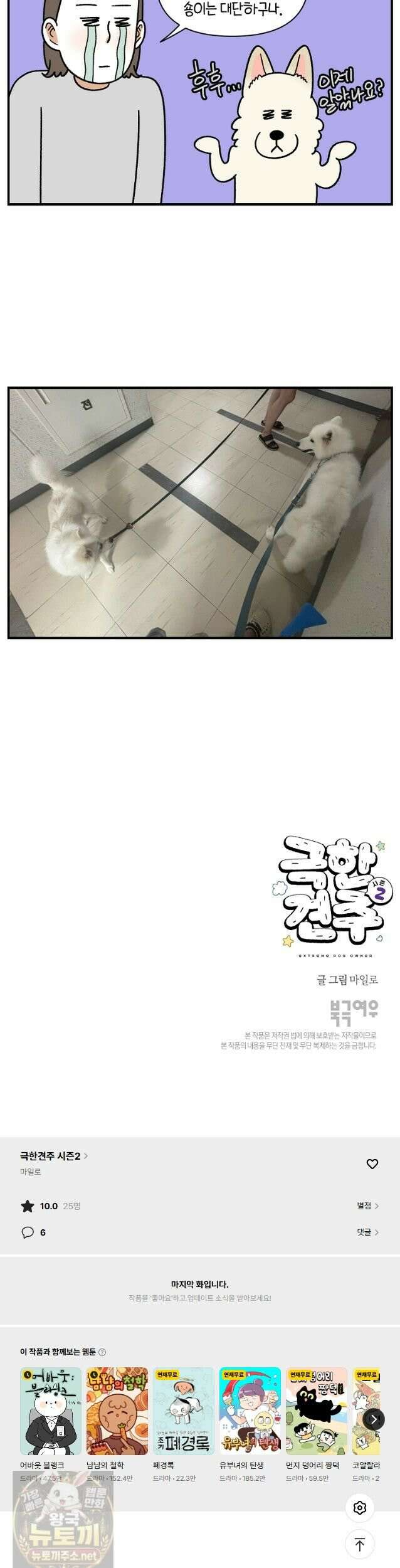 극한견주 시즌2 134화 10