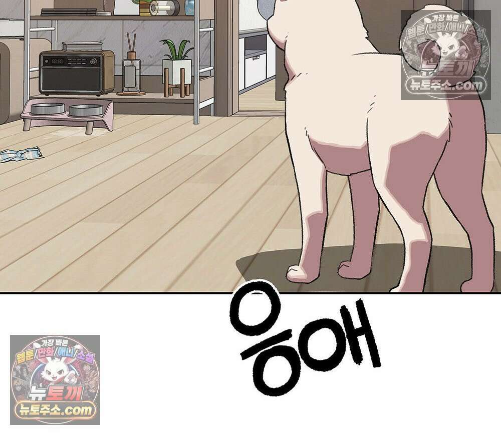 무지개다리 파수꾼 193화 106