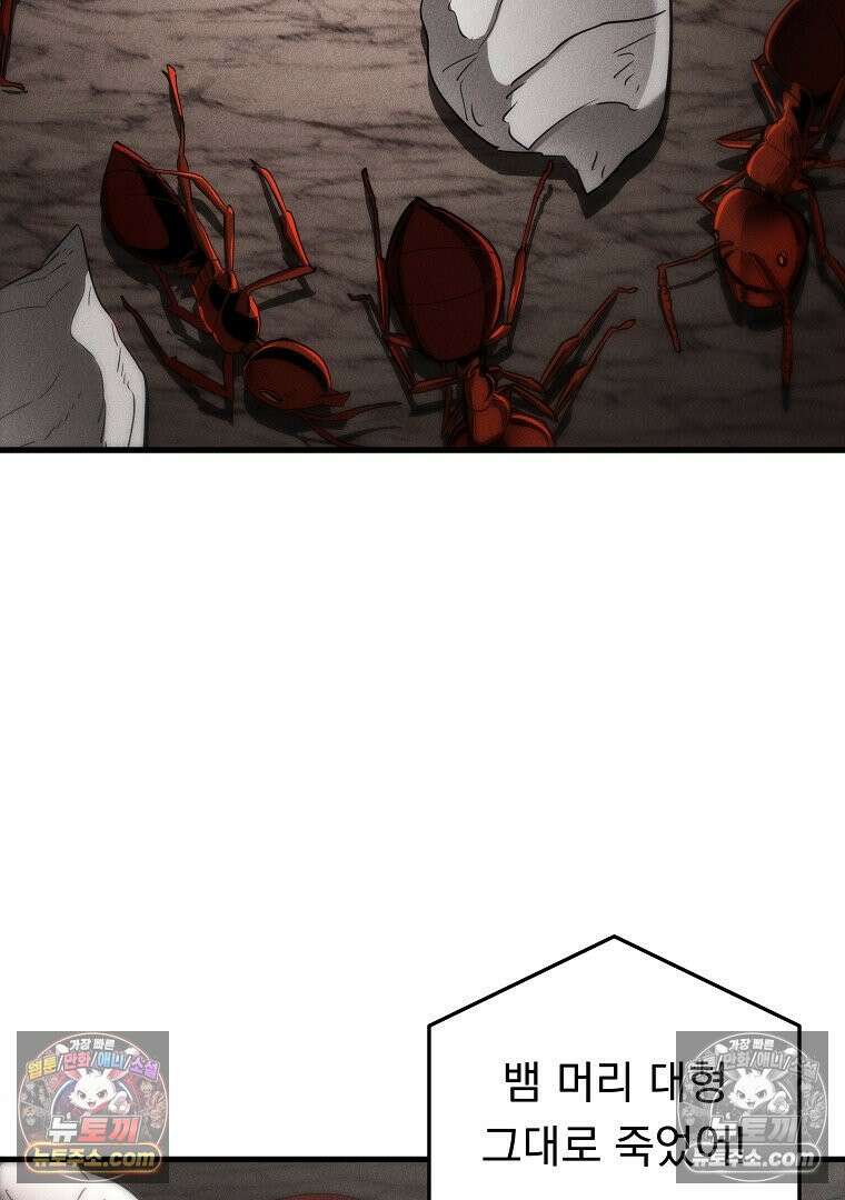 개미 4화 4