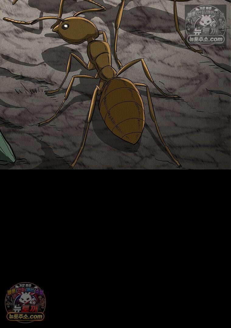 개미 29화 2